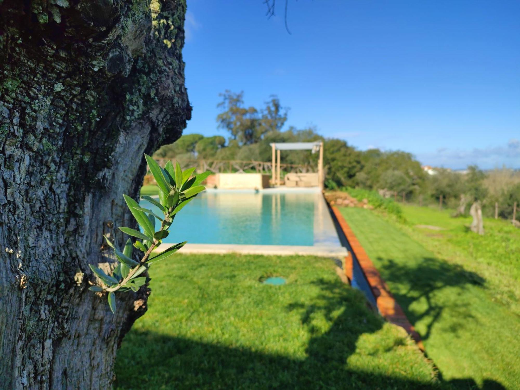 Villa Quinta De Matrena Macieiros Exterior foto